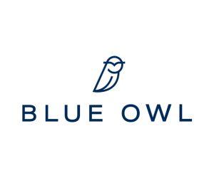 Blueowl